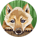 中島正二 profile picture