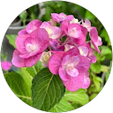 森山美緒 profile picture