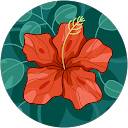 チョコ profile picture