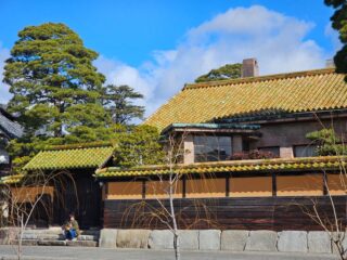 Serene view of a traditional Japanese house with green tiled roof and surrounding garden.
